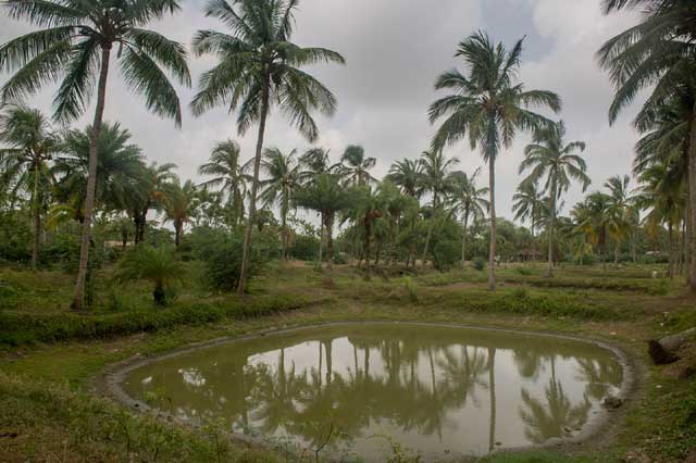 State Fisheries Development Corporation Ltd. (SFDC)